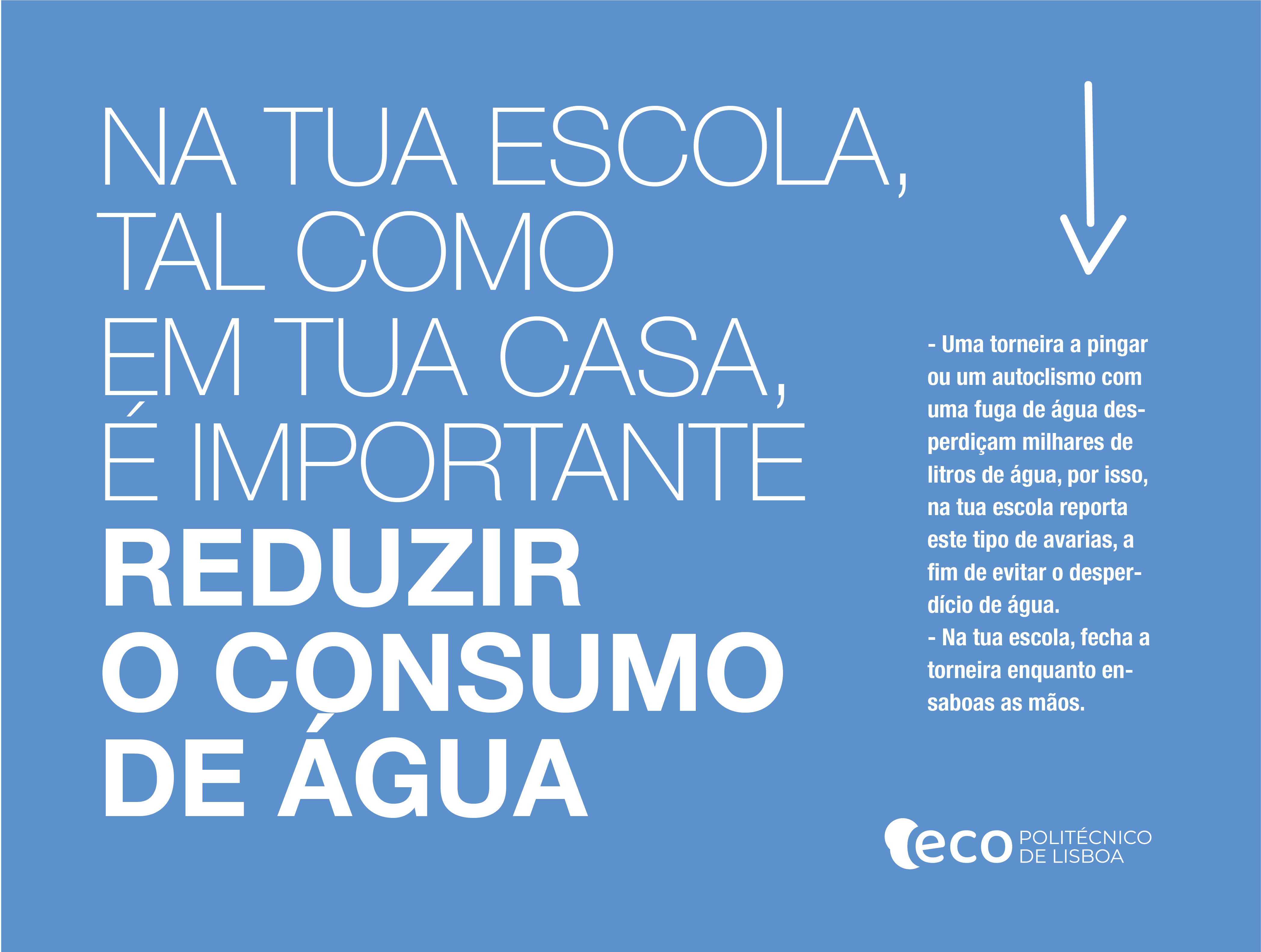 Eco Escolas 01