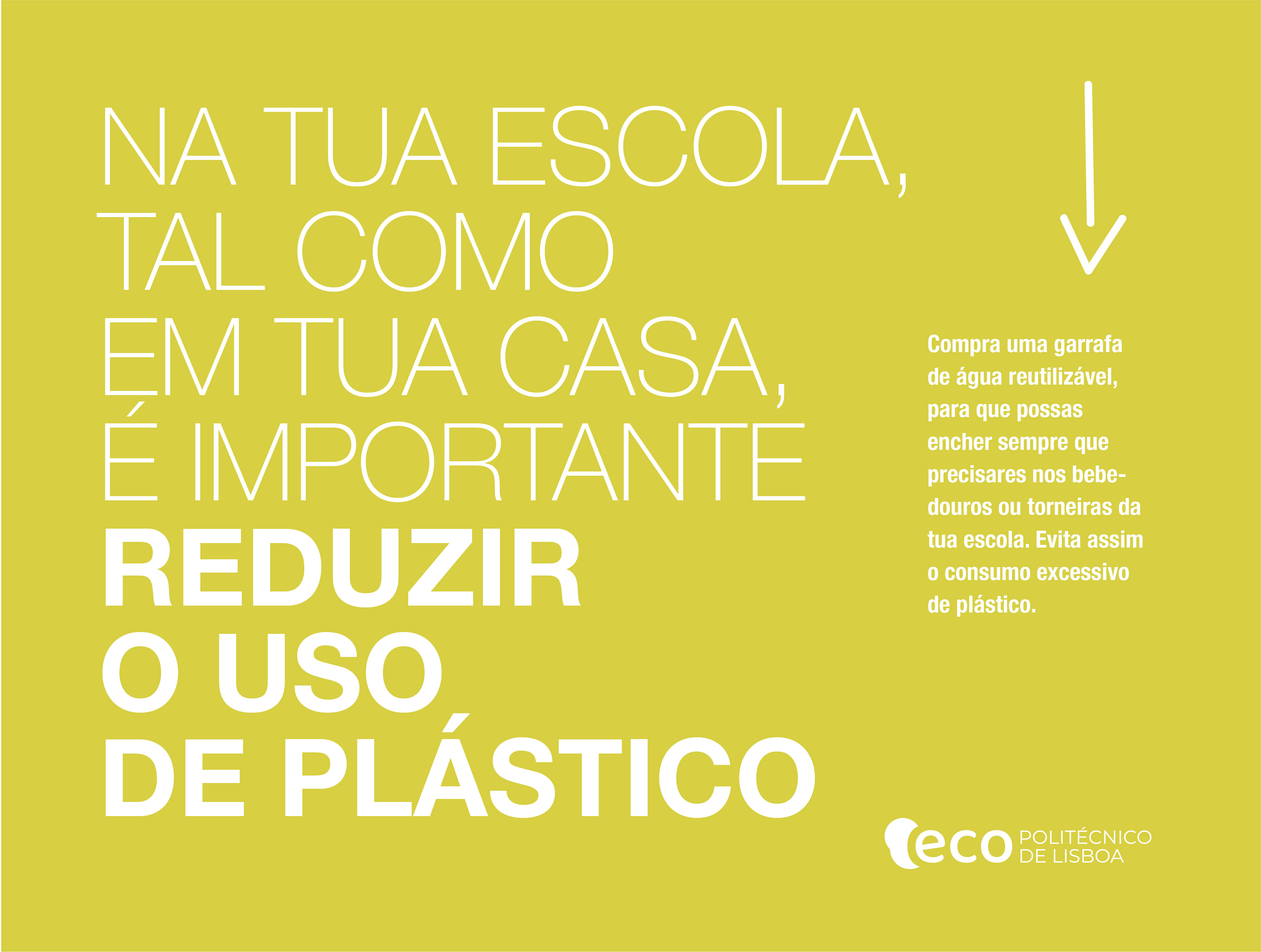 Eco Escolas 05