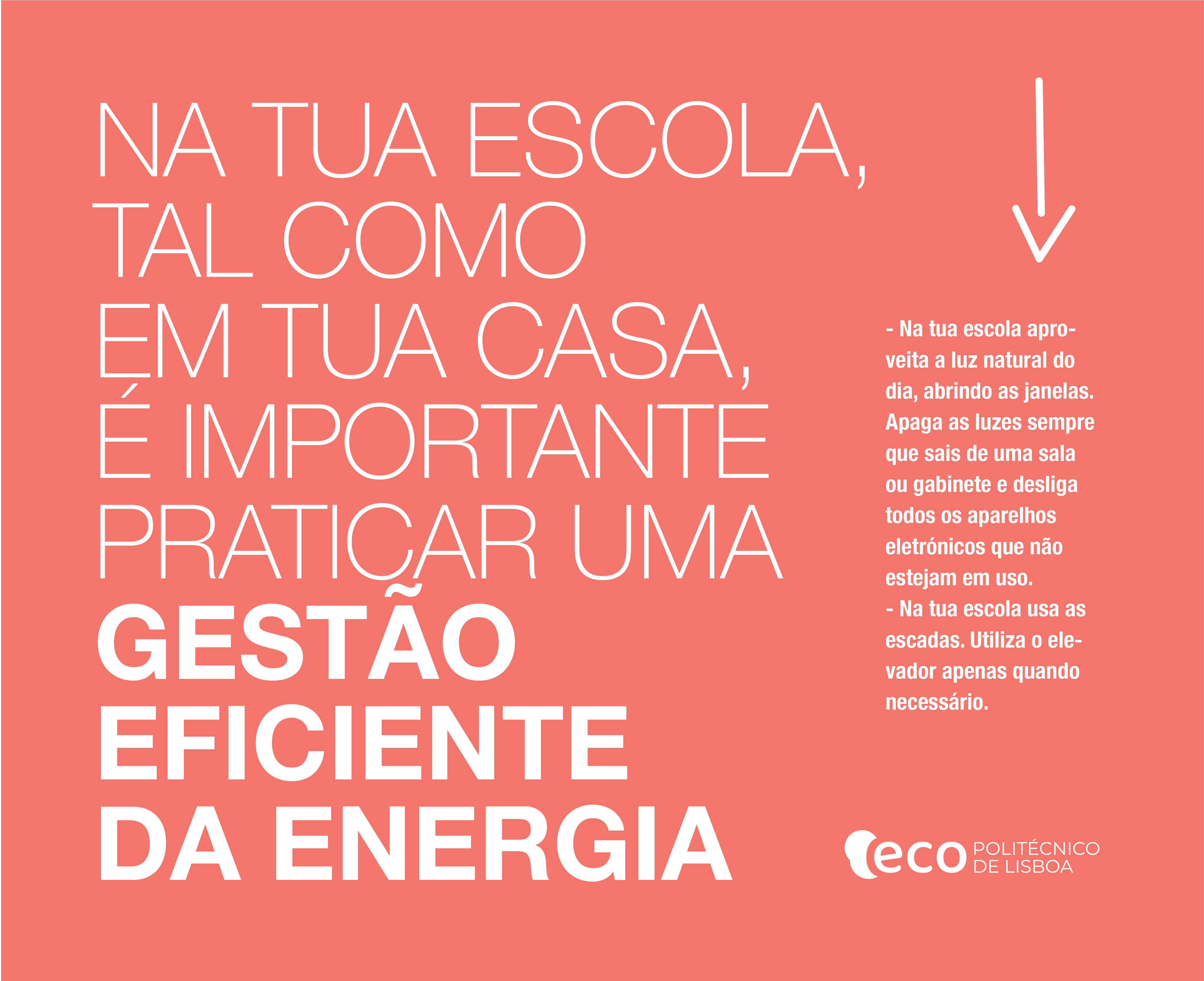 Eco Escolas 06