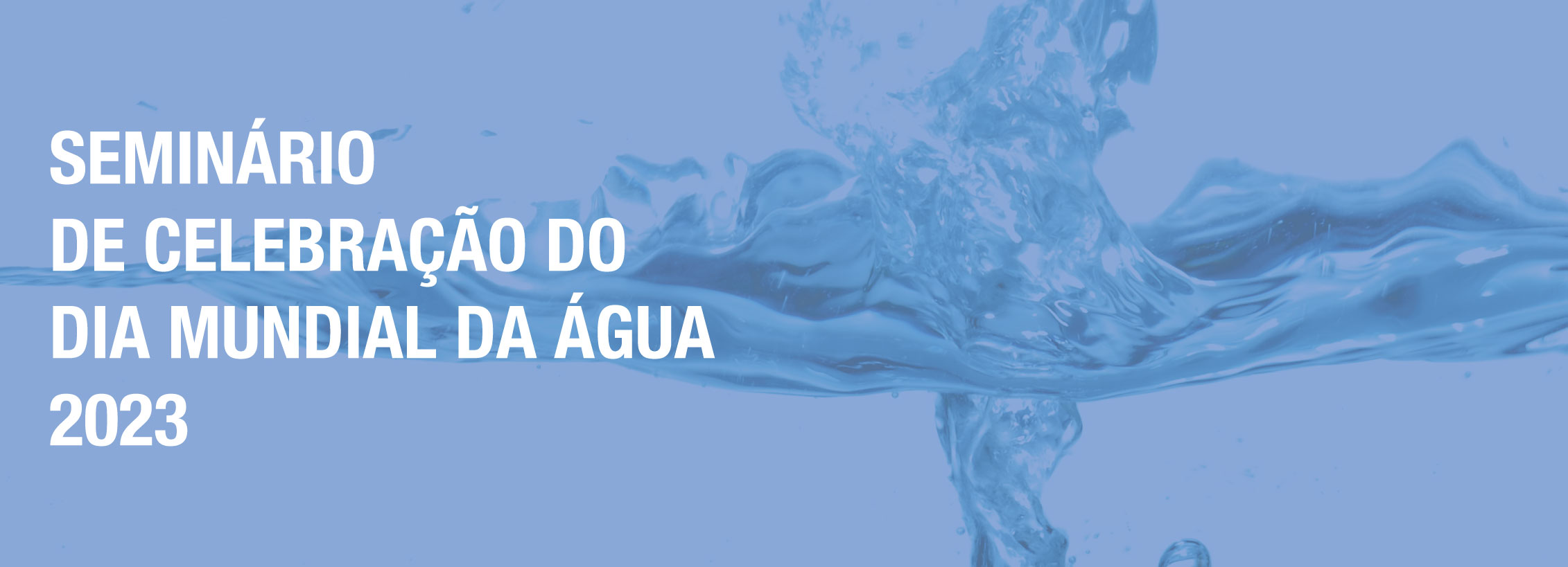 dia da agua