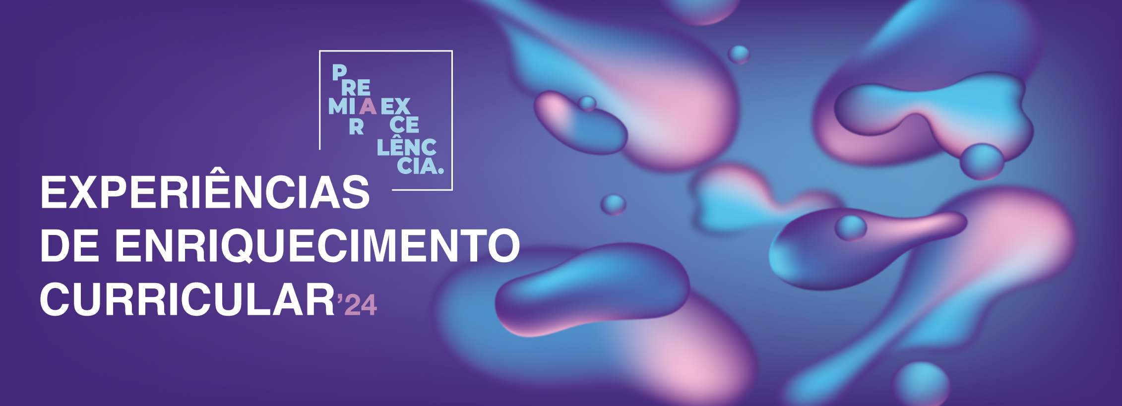 20240619_enriquecimento_curricular