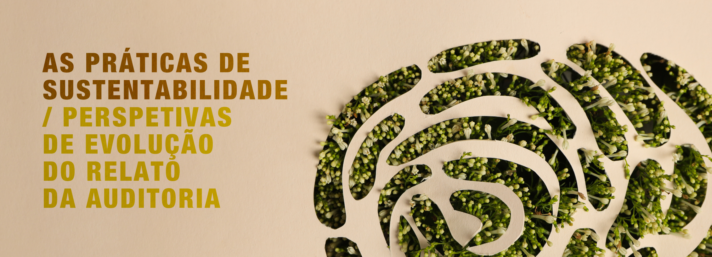 sustentabilidade
