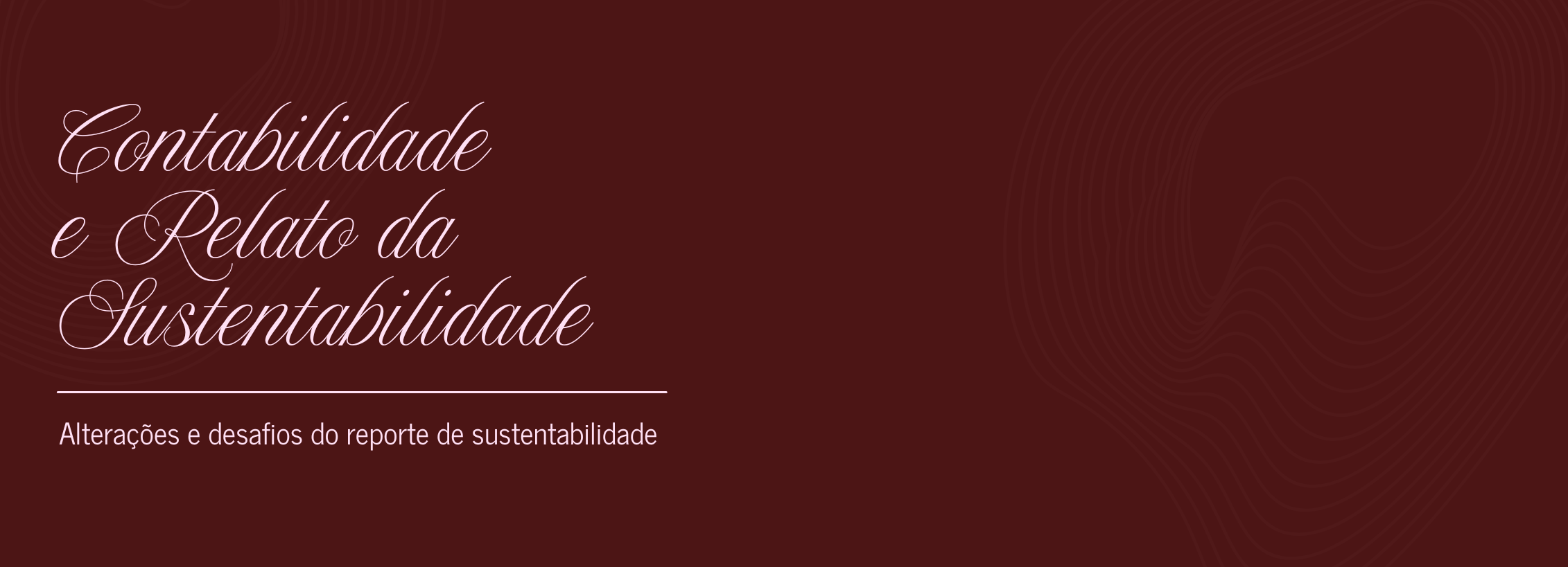 Contabilidade e Relato da Sustentabilidade