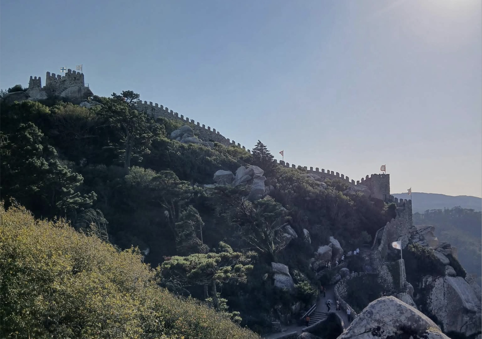 ecoescolassintra