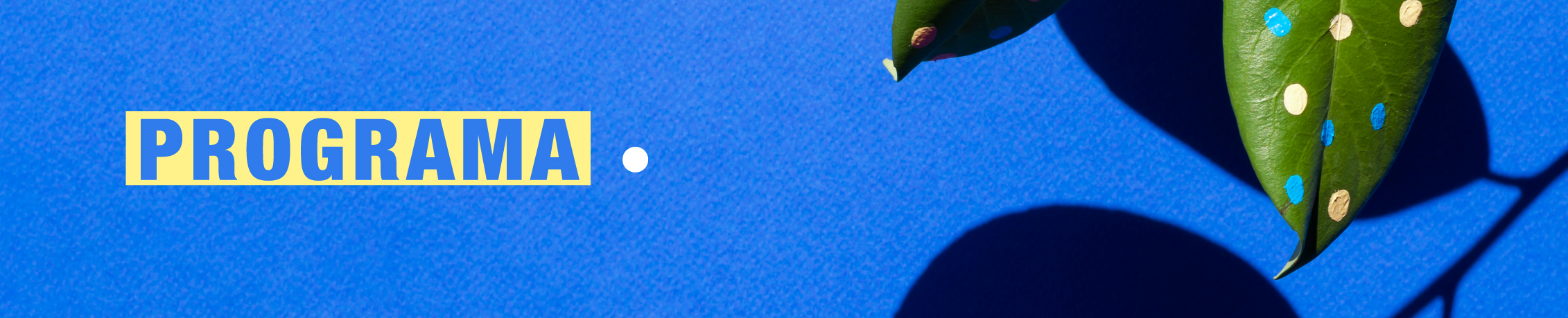 PROGRAMA