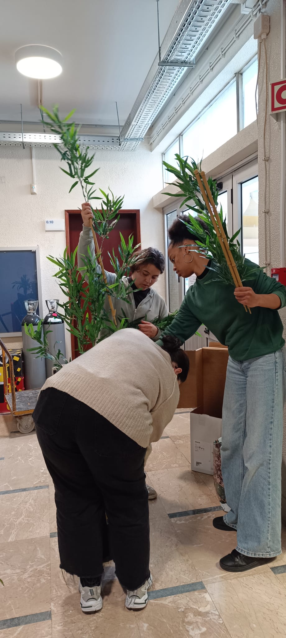 três aluna do projeto Horta Iscal plantando árvores