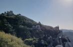 ecoescolassintra