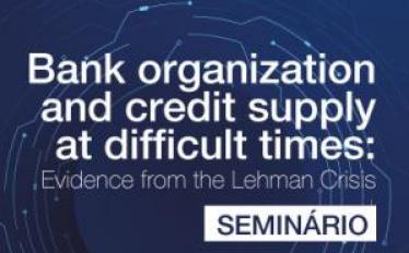 Bank organization and credit supply at difficult times: Evidence from the Lehman Crisis