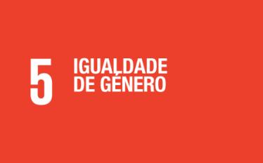 5_igualdade_genero