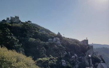 ecoescolassintra